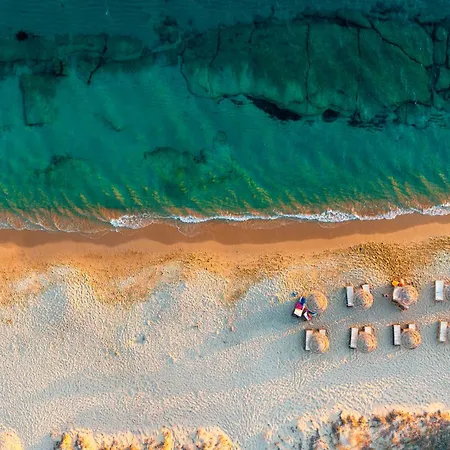 Vila Avas Palm Naxos City