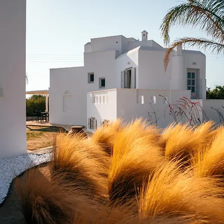 Avas Palm By Aegean Breeze Lagoon-style Shared Pool *